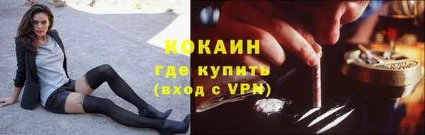 твердый Абаза