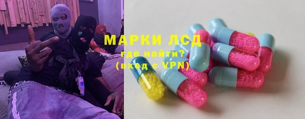 твердый Новозыбков