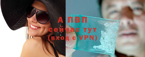 твердый Абаза